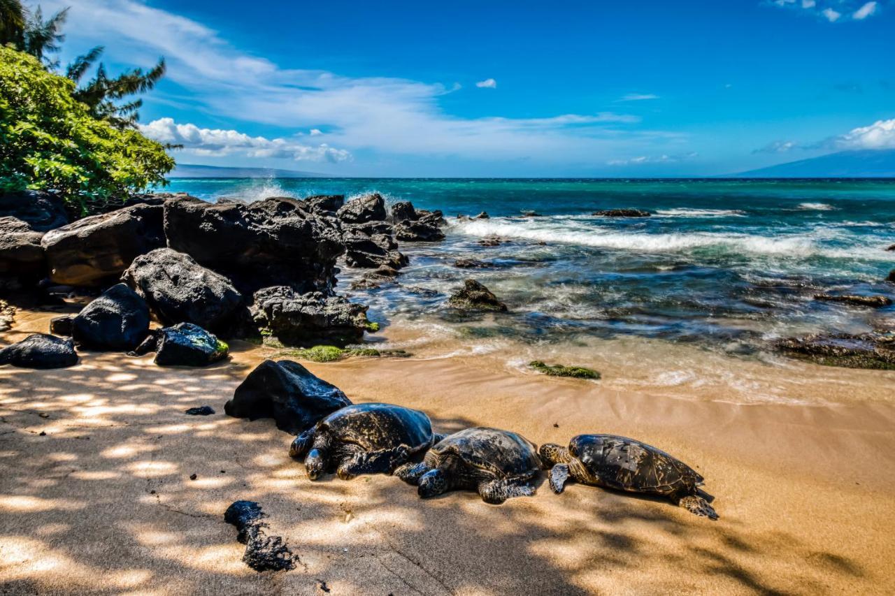 Villa Mahina Surf I Napili-Honokowai Zimmer foto